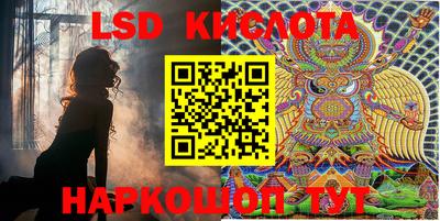 дмт Камышлов