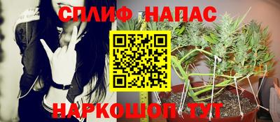 кокс Кандалакша