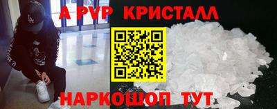 ECSTASY Канаш