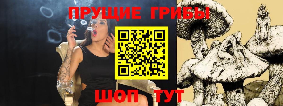 Галлюциногенные грибы MAGIC MUSHROOMS  Вход с VPN  Псилоцибиновые грибы прущие грибы  наркотики  Красноярск 