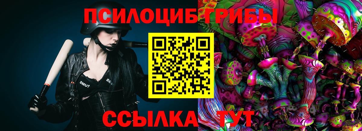 Псилоцибиновые грибы GOLDEN TEACHER Красноярск